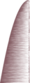 Thumbnail for version as of 14:12, 11 November 2024