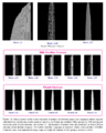 Thumbnail for version as of 17:39, 1 October 2025
