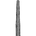 Thumbnail for version as of 17:40, 9 November 2024