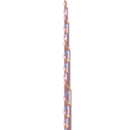 Thumbnail for version as of 15:44, 13 November 2024