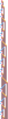 Thumbnail for version as of 15:51, 13 November 2024
