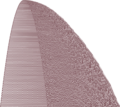 Thumbnail for version as of 14:15, 11 November 2024